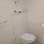 Near The Ines 마카르스카